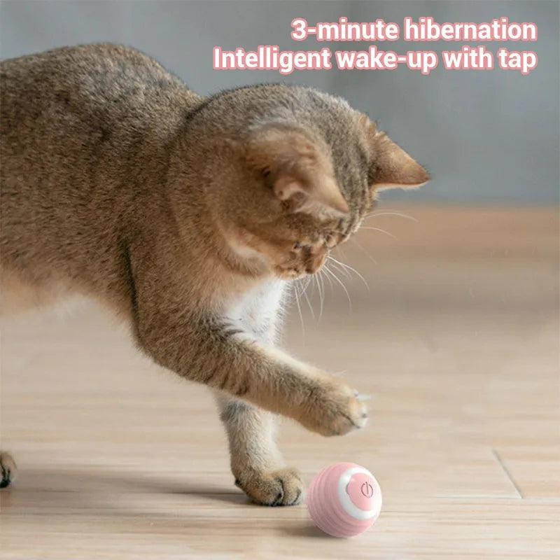 Pelota Inteligente para Gatos – Juguete Automático Recargable 360°